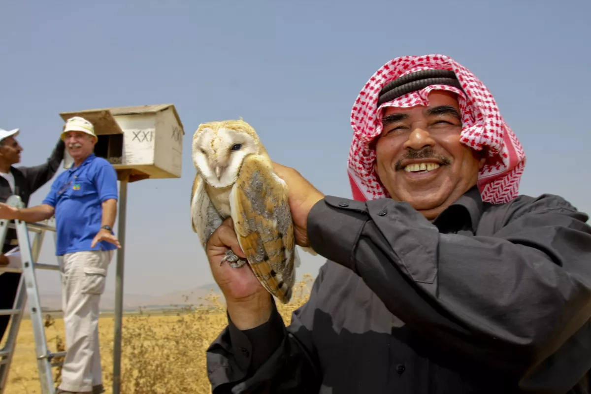 Un agriculteur jordanien tenant une Effraie des clochers en Israël. © Hagai Aharon