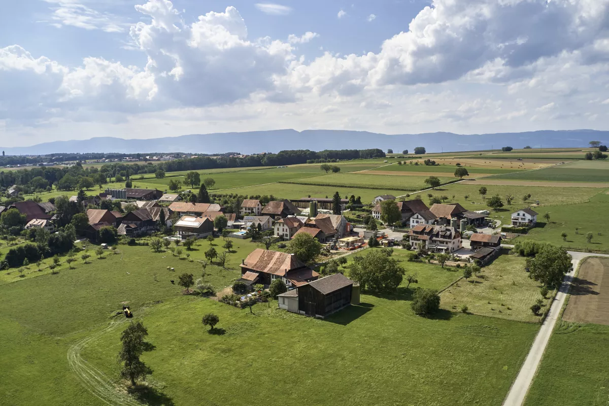 En Suisse, les Effraies des clochers vivent naturellement proche des êtres humains. Néanmoins, nos études ont montré que