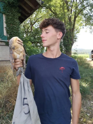 Külling