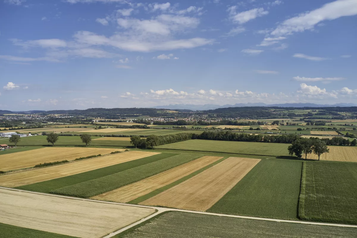 L'Effraie des clochers vit en milieu agricole. Un habitat idéal contient beaucoup de micromammifères. Les perchoirs, soi