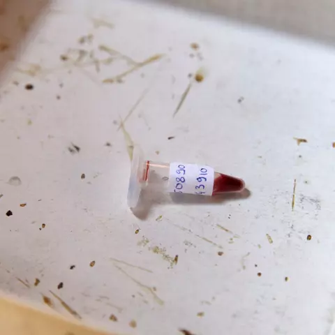Jede Probe wird sorgfältig nummeriert. © Jeremy Bierer