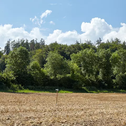 Wetterstation auf einem Feld. © Jeremy Bierer