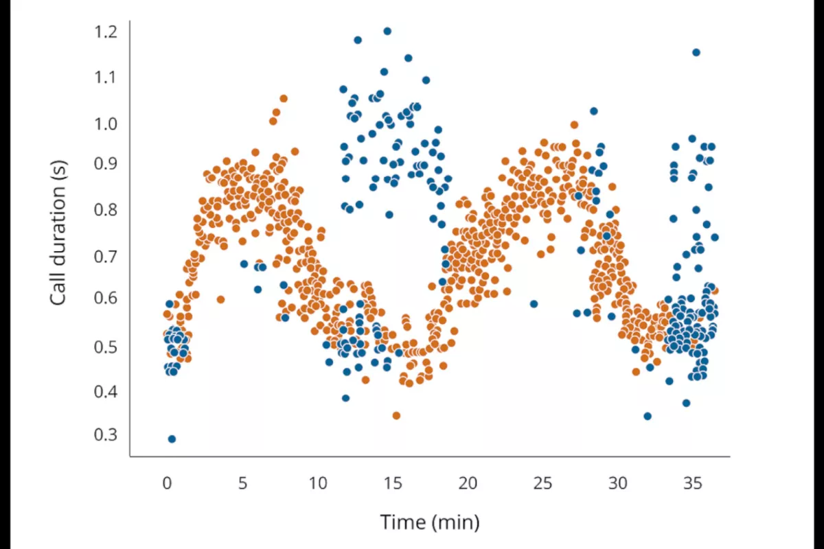 Ce graphique représente la durée des cris au cours du temps. Chaque point représente un cri et chaque couleur est attrib