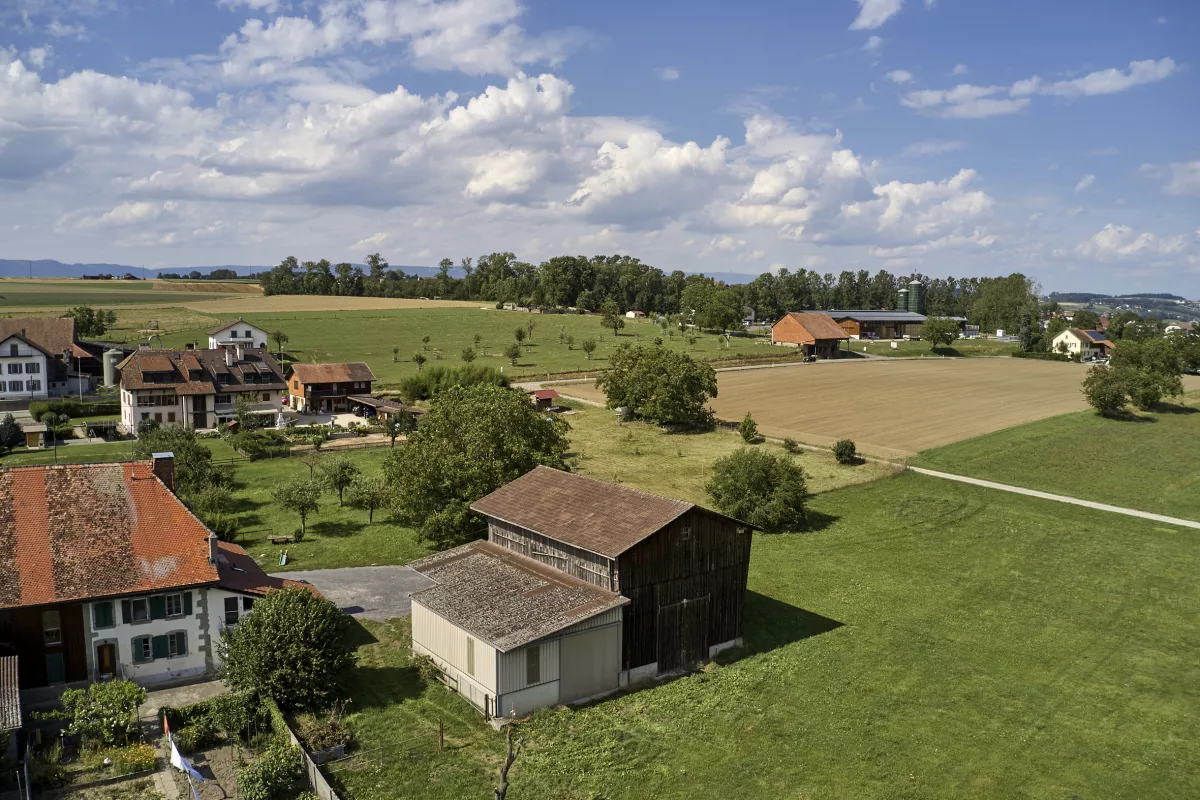 Nestboxes are installed in the countryside, generally in barns near fields. The farmhouse is usually not far away. © Jer