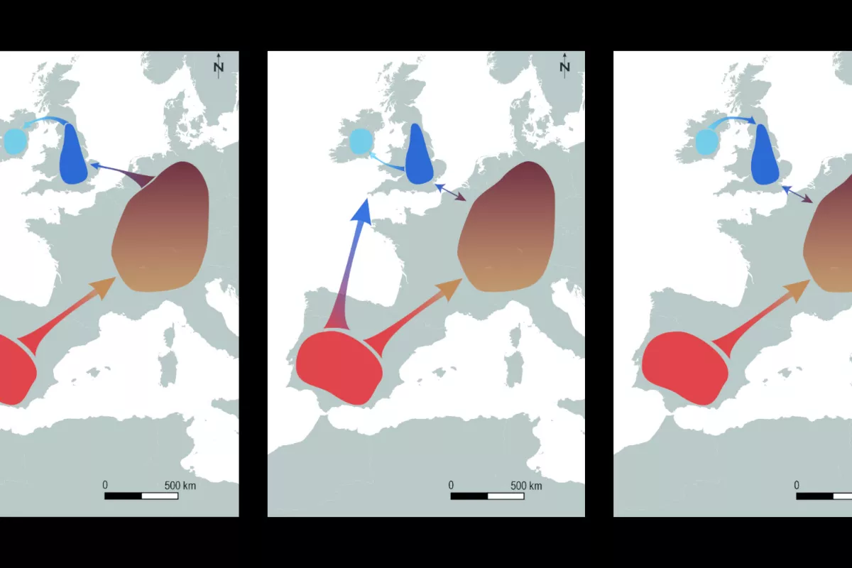 We can design different scenarios that would explain how the movements of these populations result in the light color of