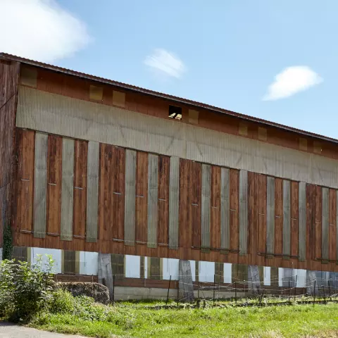Tobacco drying barns are an ideal location for nestboxes. They are very high, which means weasels can’t attack the nests