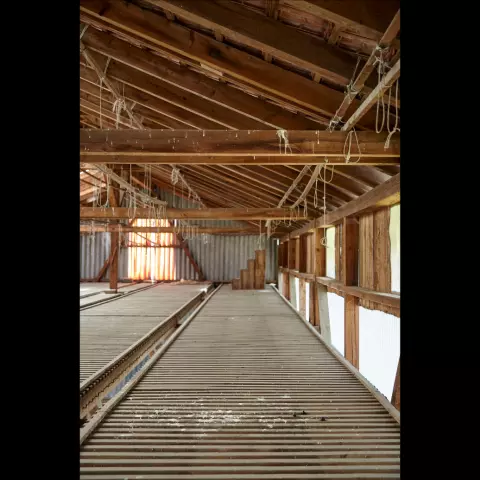 Droppings are also a clue to the presence of owls. It seems that an owl really likes perching on this beam. © Jeremy Bie