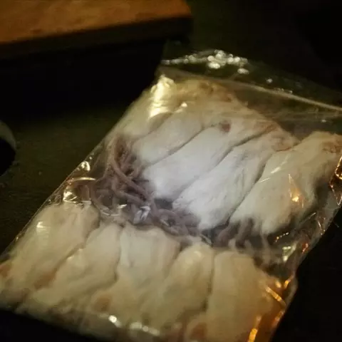 When we capture owls at night, we are preventing them from hunting for several hours. To compensate for this loss, mice 