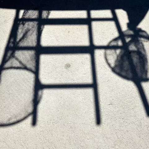 The ladder and the nets are essential parts of working in the field. © Jeremy Bierer