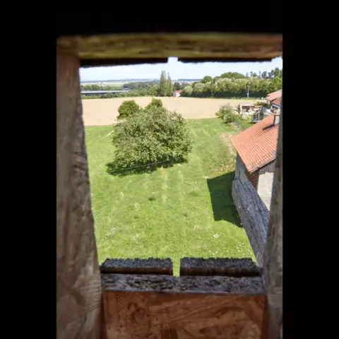An owlet’s view of the entrance to the nestbox. The ideal nestbox has a perch at the entrance (here on the right) and lo