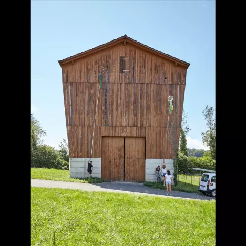The nestboxes, especially those installed in tobacco drying barns, or often quite high. This photo shows researchers pla