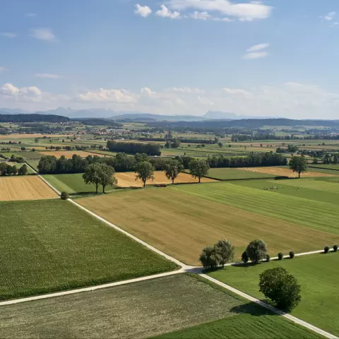 Perches, whether trees, posts, or traffic signs, can help the owls while hunting and offer them a bit of rest. © Jeremy 